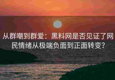 从群嘲到群爱：黑料网是否见证了网民情绪从极端负面到正面转变？