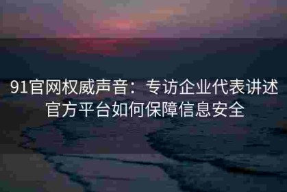 91官网权威声音：专访企业代表讲述官方平台如何保障信息安全