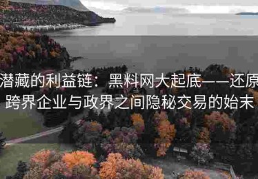 潜藏的利益链：黑料网大起底——还原跨界企业与政界之间隐秘交易的始末