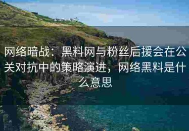 网络暗战：黑料网与粉丝后援会在公关对抗中的策略演进，网络黑料是什么意思