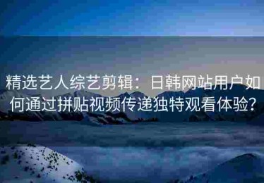 精选艺人综艺剪辑：日韩网站用户如何通过拼贴视频传递独特观看体验？
