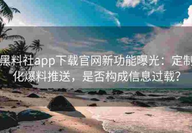 黑料社app下载官网新功能曝光：定制化爆料推送，是否构成信息过载？