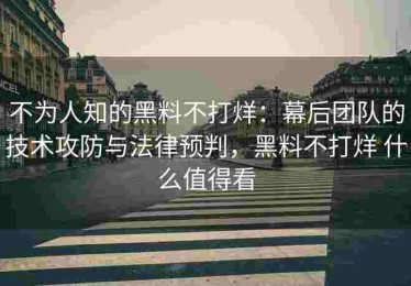 不为人知的黑料不打烊：幕后团队的技术攻防与法律预判，黑料不打烊 什么值得看