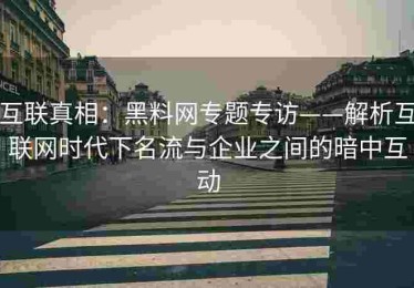 互联真相：黑料网专题专访——解析互联网时代下名流与企业之间的暗中互动