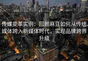 传媒变革实例：回顾麻豆如何从传统媒体跨入新媒体时代，实现品牌跨界升级