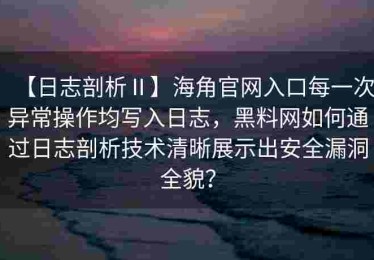 【日志剖析Ⅱ】海角官网入口每一次异常操作均写入日志，黑料网如何通过日志剖析技术清晰展示出安全漏洞全貌？