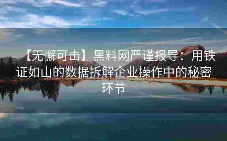 【无懈可击】黑料网严谨报导：用铁证如山的数据拆解企业操作中的秘密环节