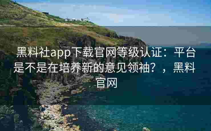 黑料社app下载官网等级认证：平台是不是在培养新的意见领袖？，黑料 官网