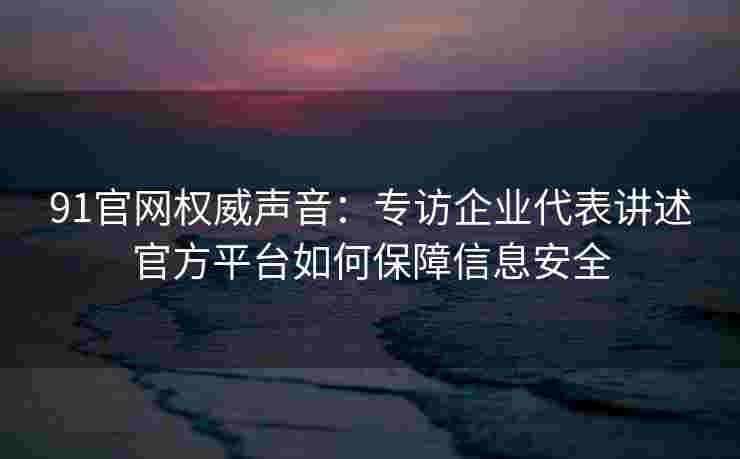 91官网权威声音：专访企业代表讲述官方平台如何保障信息安全